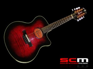 CRAFTER-M88E-TIGER-MAPLE-MANDOLIN-SCMUSIC-2