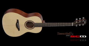 Hohner essential series guitars hotsell
