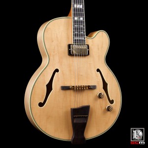 south-coast-music-ibanez-PM200-2L