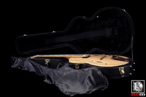 south-coast-music-ibanez-PM200-CASE