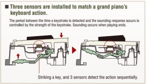 tri_sensor