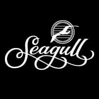 Seagull