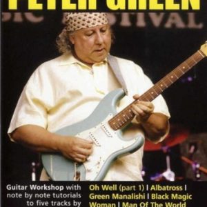 LICK LIBRARY LEARN TO PLAY PETER GREEN GUITAR 2 DVD SET