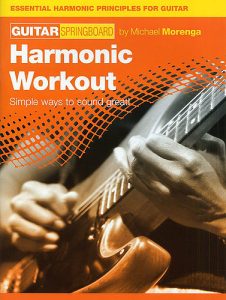 GUITAR SPRINGBOARD HARMONIC WORKOUT TUITIONAL BOOK TUTOR FOR GUITARISTS SKILLS