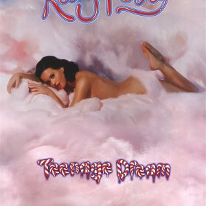 KATY PERRY TEENAGE DREAM PIANO VOCAL GUITAR PVG SHEET MUSIC SONG BOOK