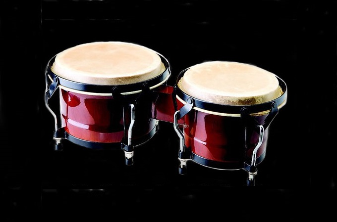 ASHTON CLASSIC BONGOS with CARRY BAG HIGH GLOSS RED BONGO DRUM TUNEABLE HIDE HEADS