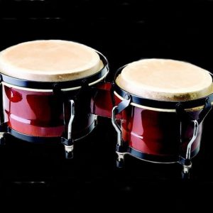 ASHTON CLASSIC BONGOS with CARRY BAG HIGH GLOSS RED BONGO DRUM TUNEABLE HIDE HEADS