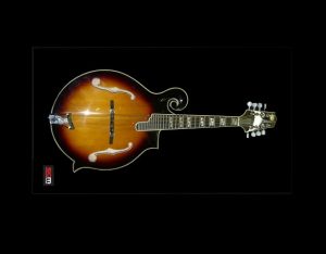 MANDOLIN HAND MADE PARIS SWING PARISIAN SET UP IN STORE