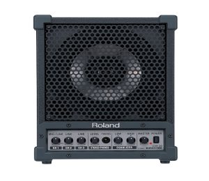 ROLAND CM30 30 WATT PORTABLE MONITOR AMP AMPLIFIER 6.5" SPEAKER + FX + WARRANTY