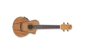 Ibanez UEW20SME Cutaway Concert Acoustic Electric Ukulele With Gig Bag