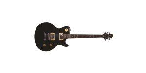 greg bennett avion guitar