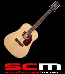 ASHTON D25 12 STRING ACOUSTIC GUITAR MAIN