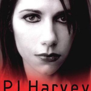 PJ Harvey: Siren Rising Book (Updated Edition) by James R. Blandford