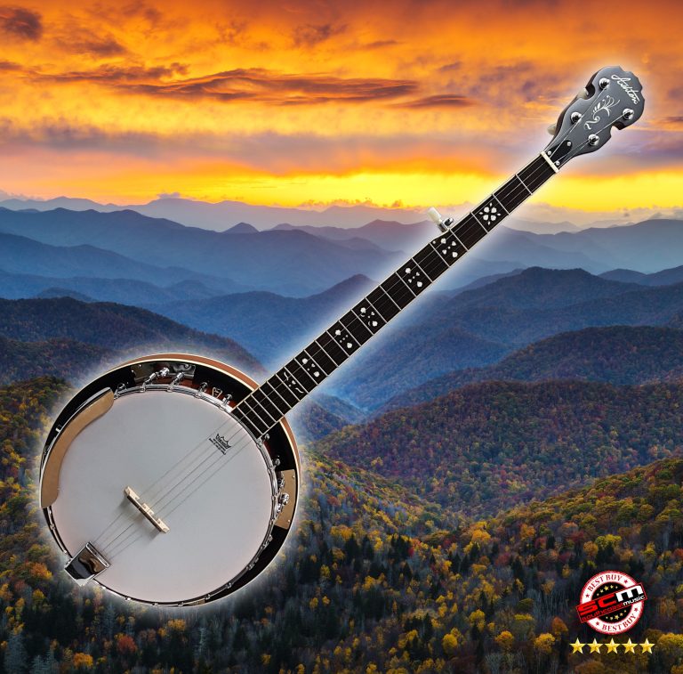 Five String Banjo Ashton BNJ50 Remo Head Dual Coordinator Rods PROSCM