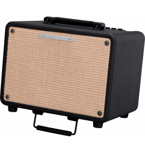 Ibanez Troubadour T30 30 Watt Acoustic Guitar Amplifier Combo Amp