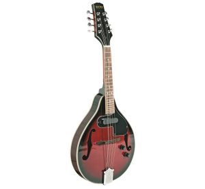 bryden sma50e MANDOLIN