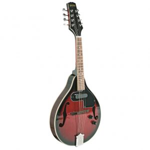 bryden sma50e MANDOLIN