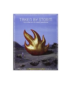 taken by storm book