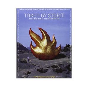 taken by storm book