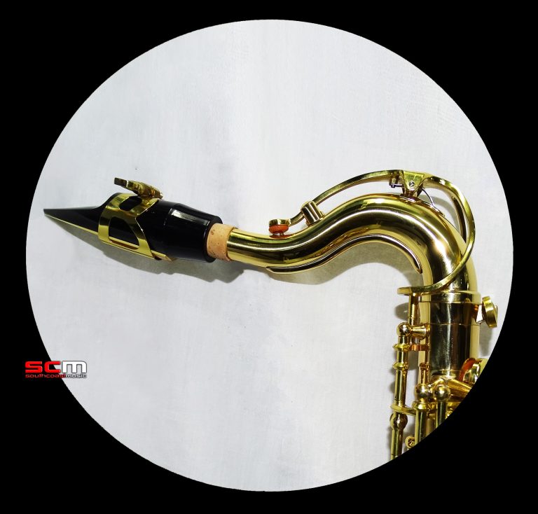 Wisemann Junior Alto Saxophone Outfit superb quality, tone & action! South Coast Music