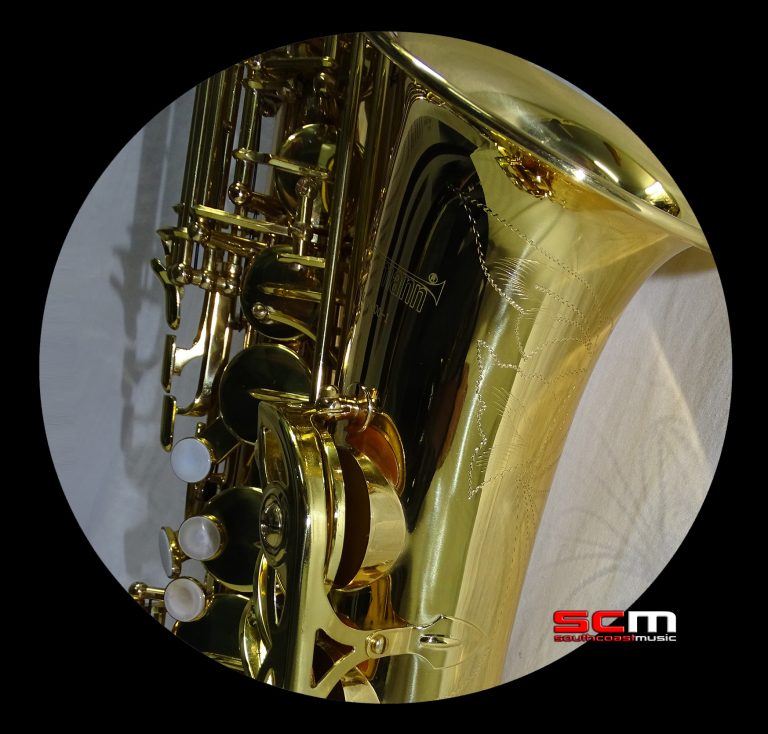 Wisemann Junior Alto Saxophone Outfit superb quality, tone & action! South Coast Music