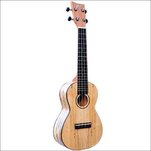 CONCERT UKULELE ASHTON UKE500SPM Spalted Maple UKE South Coast Music