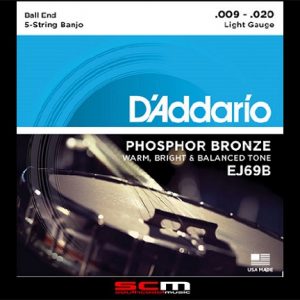 Daddario EJ69B 5-String Ball-End Banjo Phosphor Bronze Light 9-20 Strings