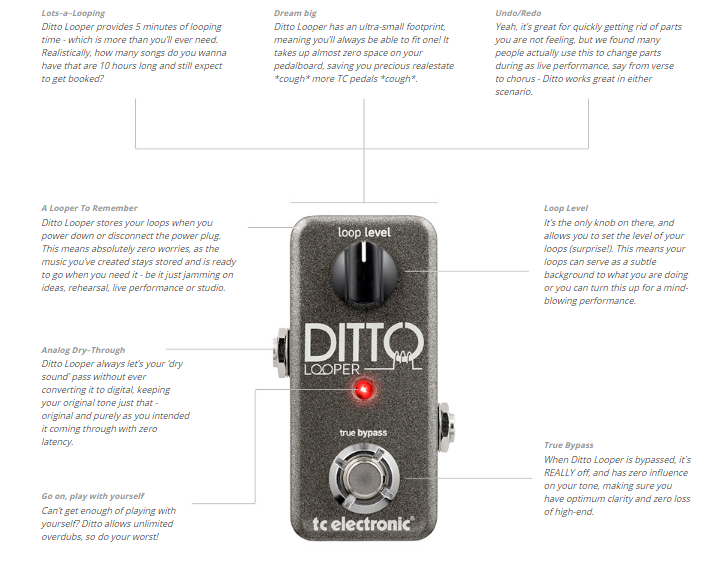 TC Electronic Ditto Looper Guitar Loop FX Pedal 5 Minutes Of Looping