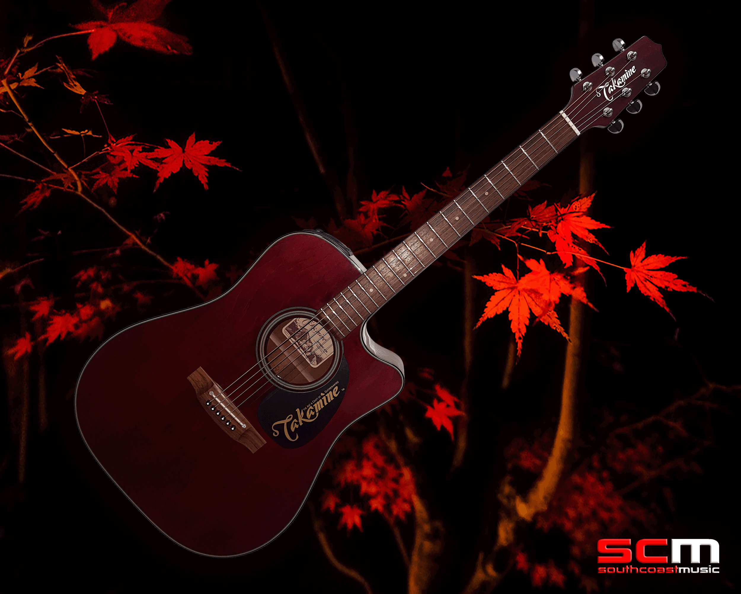 Takamine ef340sc deals price