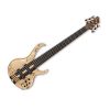 Ibanez btb 1606 premium hotsell