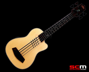 KALA UBASS Hutch Hutchinson Signature Model Ukulele Bass UKE U-Bass with Gig Bag