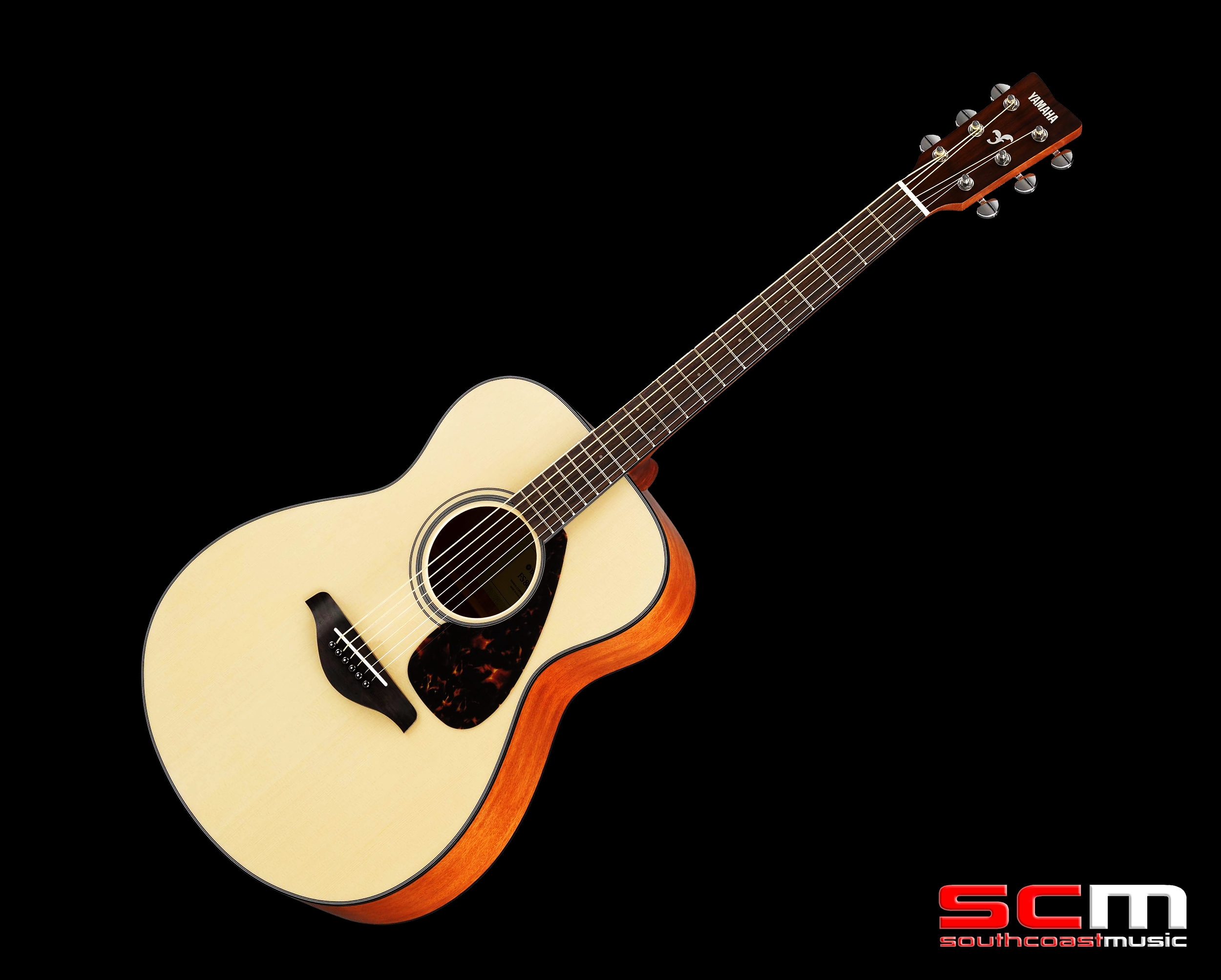 Yamaha shop auditorium guitar