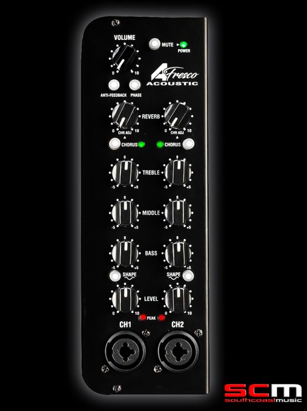 Laney AFRESCOBP 60w Acoustic Guitar Amplifier 2 channel Vocal & Guitar Amplifier Battery and