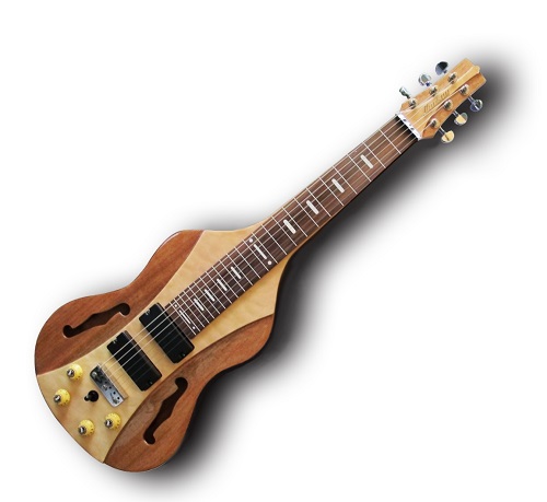 Vorson lap steel store