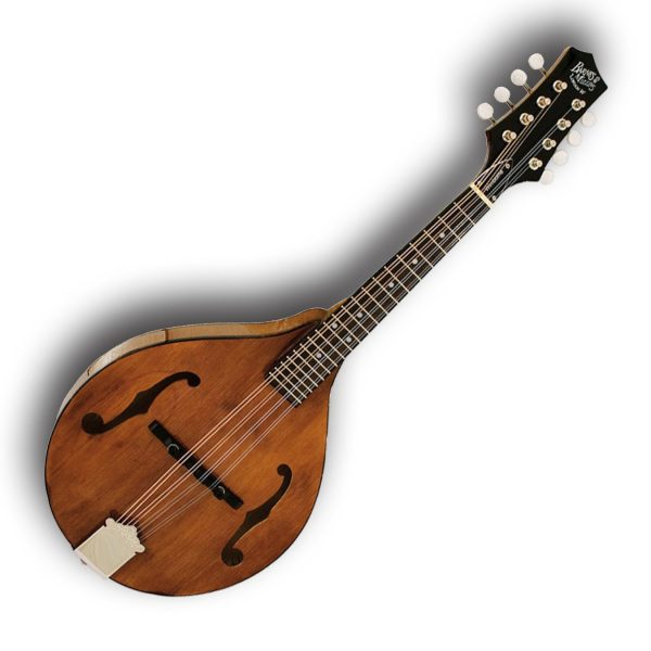 Barnes & Mullins A Style Mandolin with F Holes Hand Carved includes PRO