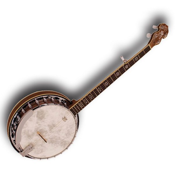 BRYDEN BANJO SBJ530 DELUXE 5 STRING BANJO South Coast Music
