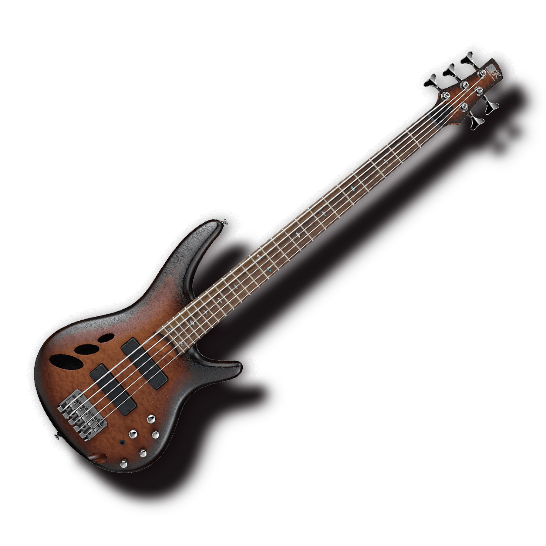 Limited Edition Ibanez SR30TH5NNF 30th Anniversary 5 String Bass Guitar  LAST ONE! – South Coast Music