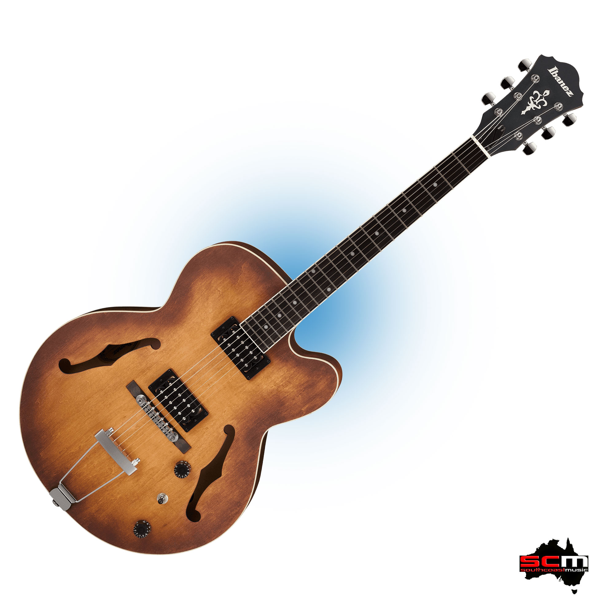 Archtop hollowbody on sale electric guitar