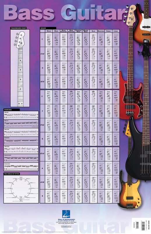 Bass Guitar Wall Chart 23 inch. x 35 inch Colour Poster South Coast Music