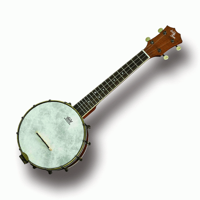 Eddy Finn Banjo Ukulele Concert Banjolele Maple construction with Gig