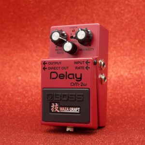 Delay/Reverb Pedals