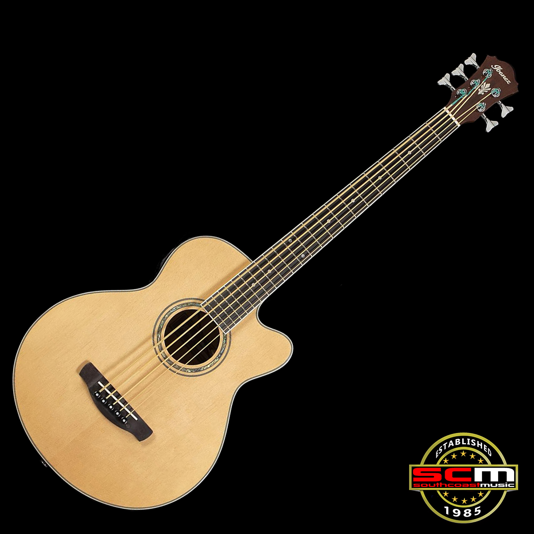 Ibanez AEB105E 5-String Acoustic Electric Bass Guitar with our renowned Pro-SCM setup!